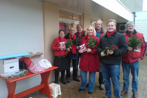 Met rode rozen in Surhuisterveen.